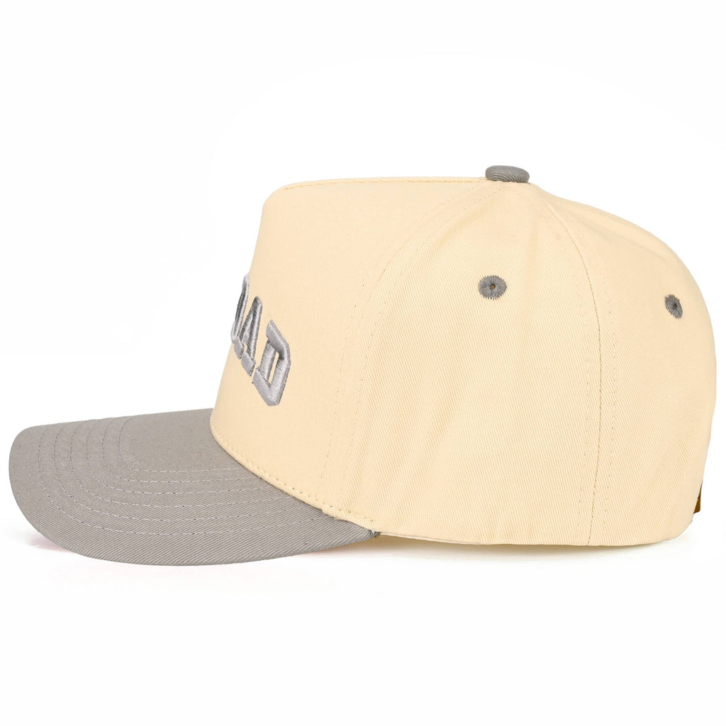 C.C DOG DAD Letter Embroidered on Two Tone Trucker Hat