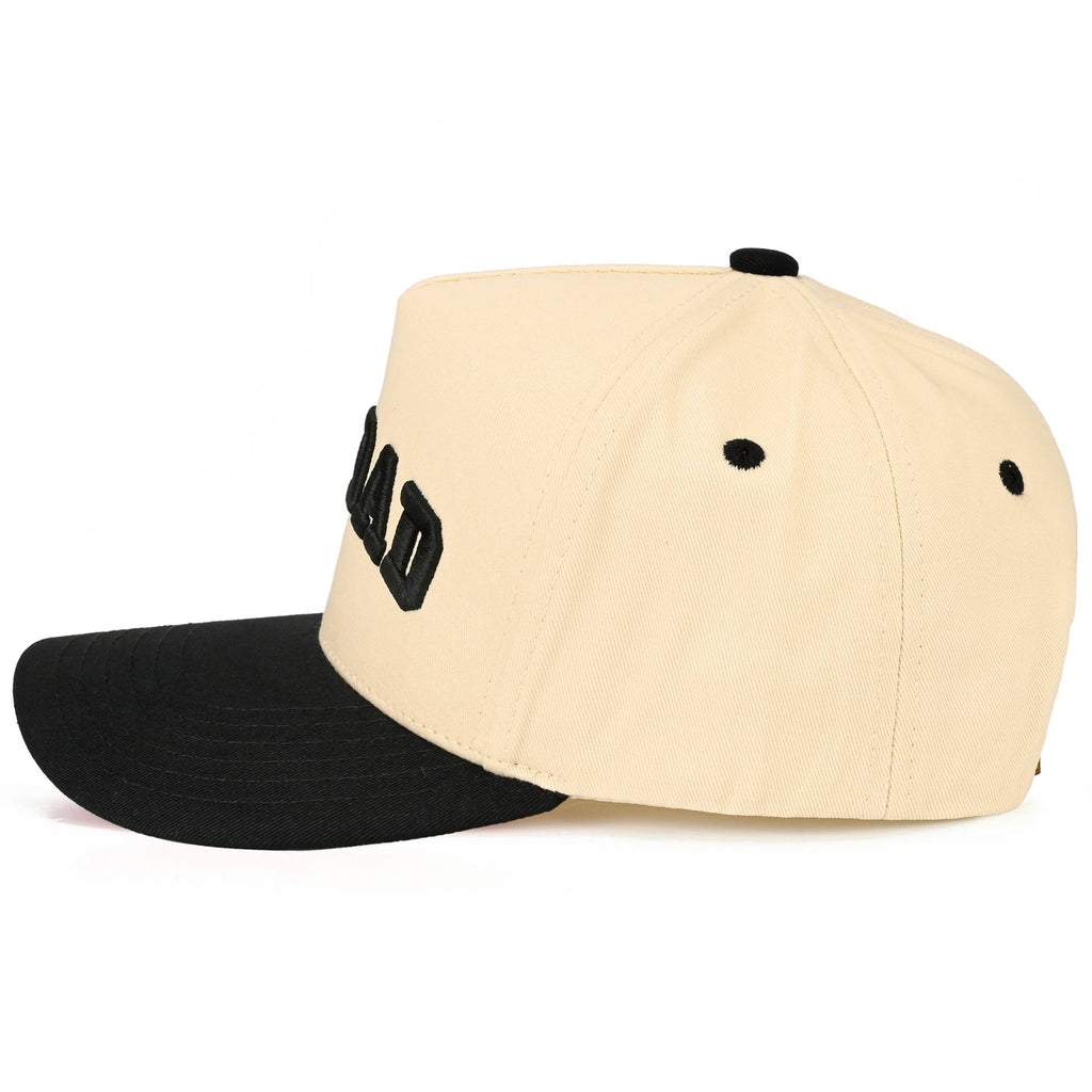 C.C DOG DAD Letter Embroidered on Two Tone Trucker Hat